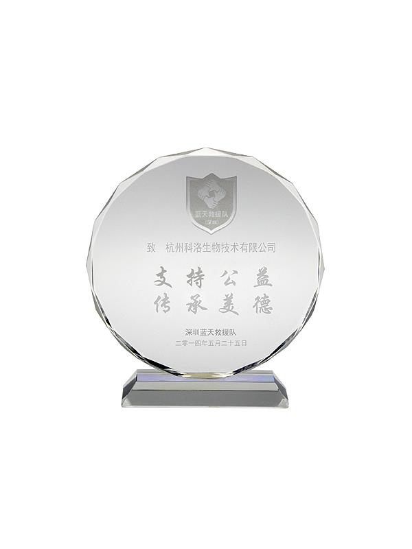 藍(lán)天救援隊(duì)公益證書