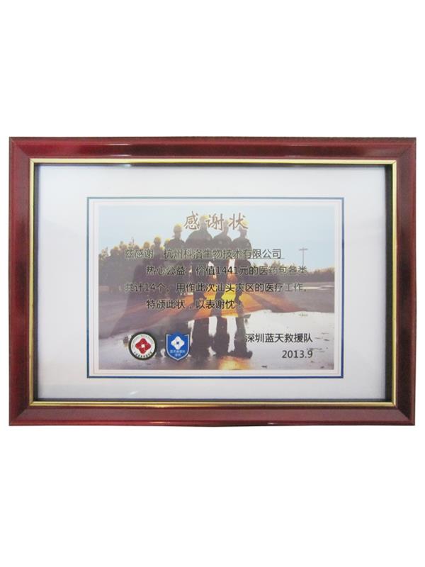 藍(lán)天救援隊(duì)捐贈證書